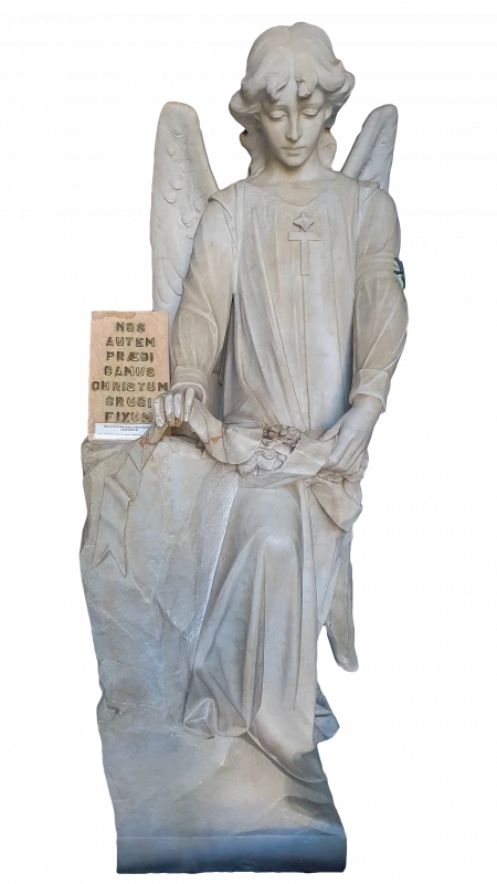 Anjo Alado