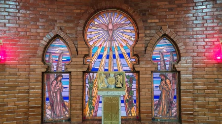 Vitral Pomba