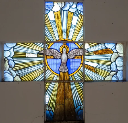 Vitral Pomba