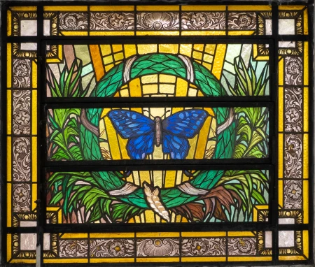 Vitral Borboleta