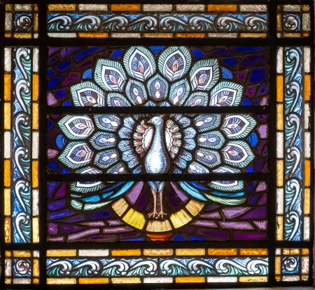 Vitral (pavão)