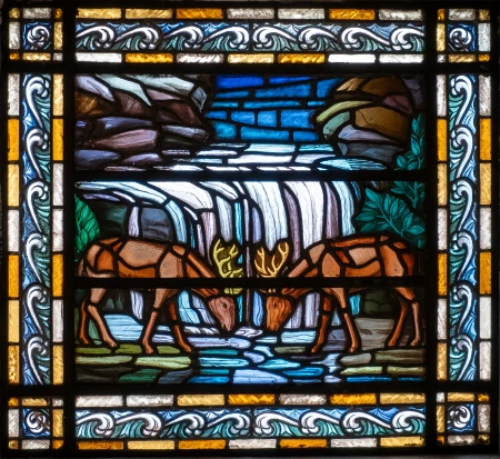Vitral (Cervídeos)