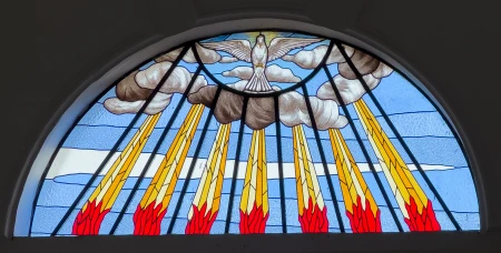 Vitral Pomba